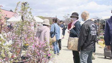 仙台の春の風物詩　植木市始まる|TBS NEWS DIG