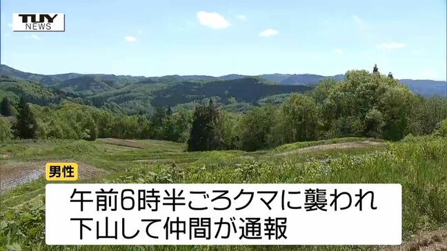 襲われた男性は頬の骨を折るなどの大ケガ　朝日町で70歳男性がクマに襲われる　穴から出てきたクマに襲われたか　男性は山菜採りで山に入る（山形）　|TBS NEWS DIG