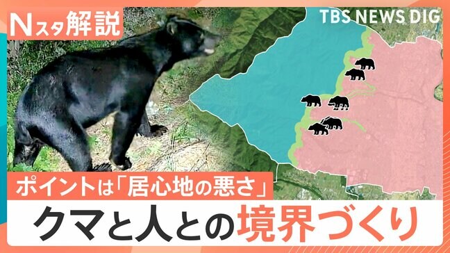 クマはどこからやってくる？目撃情報に見る「川沿い」の危険性　“クマとの共生”目指す自治体の新たな取り組み「ゾーニング」の効果とは【Nスタ解説】|TBS NEWS DIG