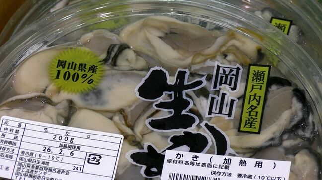 「身入りのいいカキが育ってきている」　岡山県産のカキをもっと食べて　おいしい旬の味が戻ってきた【岡山】　|TBS NEWS DIG