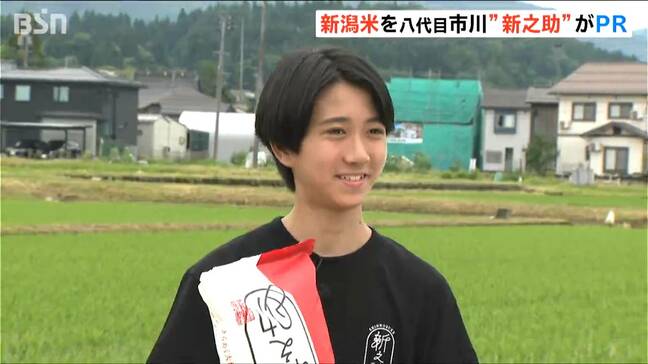 「本当に"新之助"ってすごい」 新潟県開発のブランド米を八代目市川新之助さんがPR 一般販売の開始から10年目に|TBS NEWS DIG