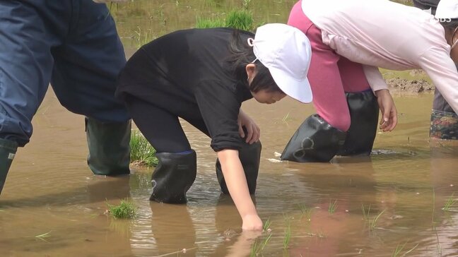 「転びそうになったけど楽しかった」小学生が田植えに挑戦 9月に収穫し「おにぎり」に=静岡・下田市|TBS NEWS DIG