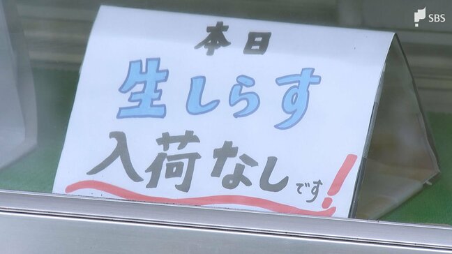 「本業のシラス漁もできない状態」中東情勢の影響で「大井川港朝市」の生シラス販売が2年連続で中止に... |TBS NEWS DIG