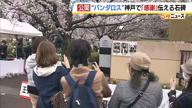 「タンタンも喜んでるかなと」感謝の気持ち込めて…阪神・淡路大震災で被災した神戸に笑顔届けたパンダの石碑を設置 きょうは開園後に行列 王子動物園|TBS NEWS DIG