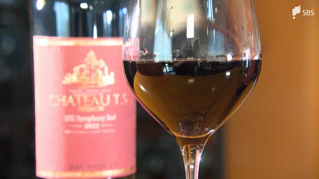 伊豆の赤ワインが全国コンクール最高賞 雨対策など逆境乗り越え快挙=静岡・伊豆市|TBS NEWS DIG