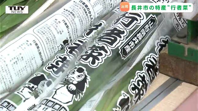 ニラ×行者ニンニク！　長井市の特産品"行者菜"の出荷があすから始まる（山形）|TBS NEWS DIG