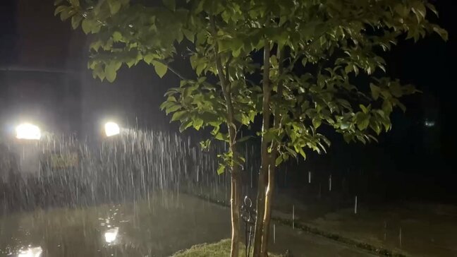 【速報・追記あり】青森県で１時間予想降水量５０ミリ　土砂災害警戒情報６市町村に発表　五所川原市市浦１時間４４ミリを観測|TBS NEWS DIG