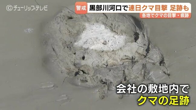 富山県内でクマの目撃が多発…黒部川河口で連日出没、射水市の太閤山ランドは臨時休園に 警察や猟友会がパトロール、周辺住民に警戒を呼びかけ|TBS NEWS DIG