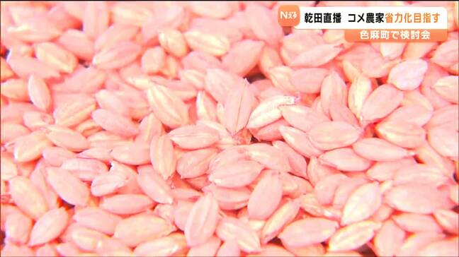 愛知県に次ぎ全国2位の栽培面積　田植え不要の省力化でコメ農家を応援　宮城・色麻町|TBS NEWS DIG