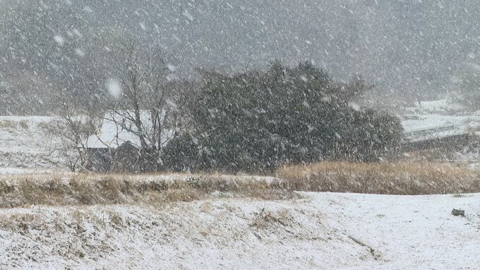 山口県内強い冷え込み　山間部を中心に積雪　あす昼までの２４時間に平地で３センチの予想|TBS NEWS DIG
