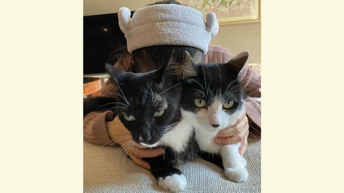 【猫吸い】藤あや子さん「#63」誕生日を迎えて「年齢を重ねていくことが嫌じゃない」7日にがん闘病を明かす|TBS NEWS DIG