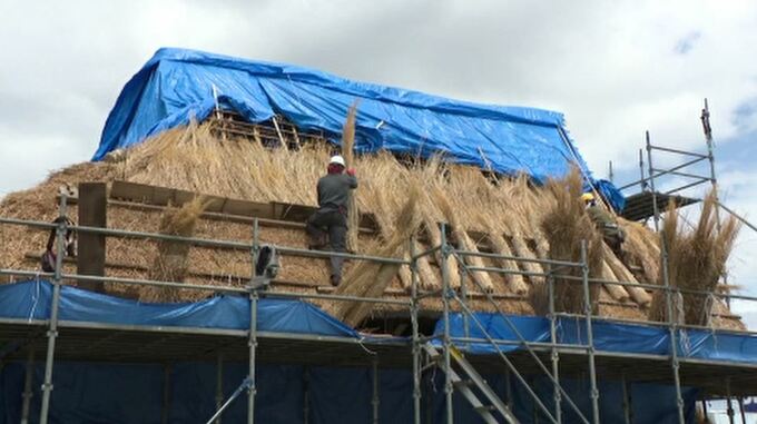 築130年の“古民家店舗”で茅ふき替え　|　石川県のニュース｜MRO北陸放送