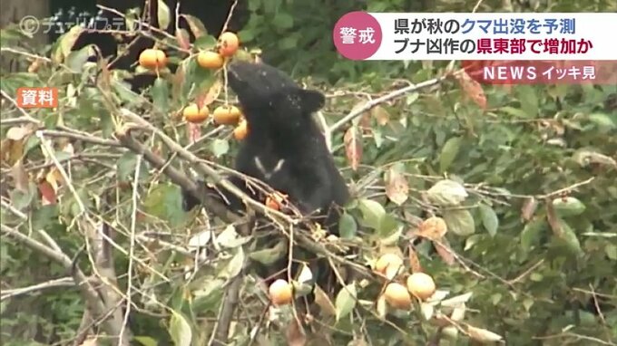ツキノワグマ大量出没に警戒…2016年と同じくブナやミズナラが不作　特に富山県東部の平野部|TBS NEWS DIG