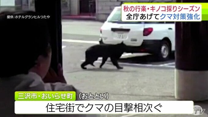 依然後を絶たない「クマの出没」　これからの本格的な秋の行楽シーズン・キノコ採りシーズンに向けて　青森県が全庁をあげて対策強化へ|TBS NEWS DIG
