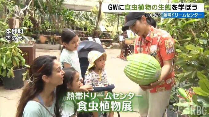 「2回触れると閉じる」不思議な食虫植物展　熱帯ドリームセンター【沖縄・本部町】|TBS NEWS DIG