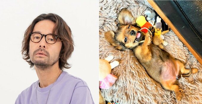 【上野樹里さん夫・和田唱】　愛犬との写真を公開　「絶賛育児の日々。マリブ、すこーしずつ大きくなってます」|TBS NEWS DIG