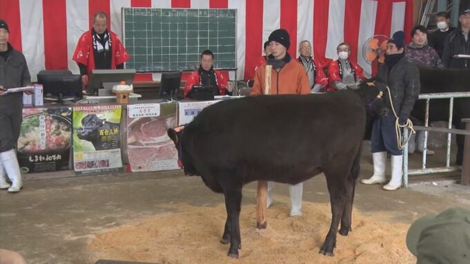 「みんなの財布があったかくなるよう政府にもお願い」県内トップ切って　子牛の初競り　　|　BSSニュース | BSS山陰放送