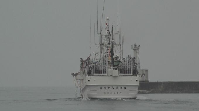 「獲れるかどうかが心配」漁獲量減少傾向のスルメイカ 日本海へ中型イカ釣り船団が出港 石川・能登町　|　石川県のニュース｜MRO北陸放送