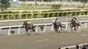 人と馬の熱きドラマ始まる　今シーズンの岩手競馬が開幕　水沢競馬場にファン詰めかける　岩手・奥州市　　|　IBC NEWS | IBC岩手放送