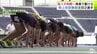 “青森のスプリンター”国スポへ駆ける　陸上短距離　青森県勢の注目2選手　男子100ｍで表彰台の頂点目指す　|　青森のニュース│ATV NEWS│青森テレビ