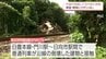JR日豊本線門川駅近く　列車が倒壊した建物と接触　一時運転見合わせ　|　MRTニュース ｜ ＭＲＴ宮崎放送