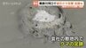 富山県内でクマの目撃が多発…黒部川河口で連日出没、射水市の太閤山ランドは臨時休園に　警察や猟友会がパトロール、周辺住民に警戒を呼びかけ　|　富山のニュース｜天気・防災｜チューリップテレビ