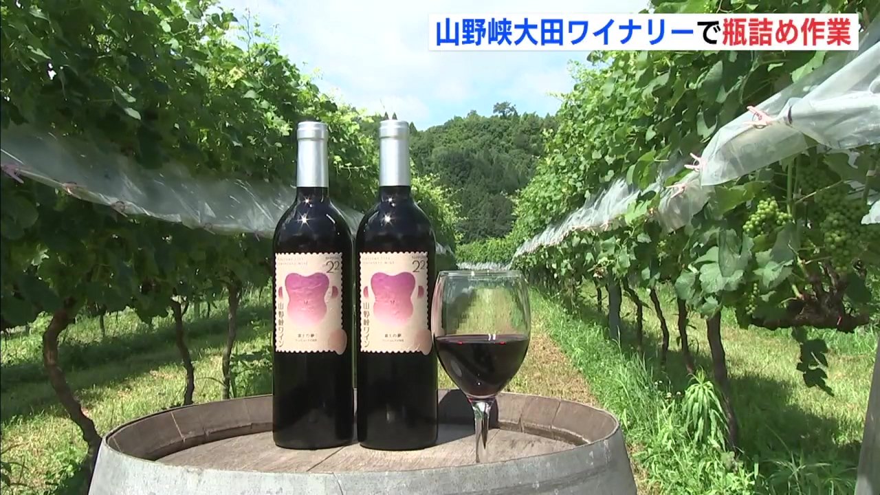 ブドウを食べているようなみずみずしさ」山野峡大田ワイナリー 手作業