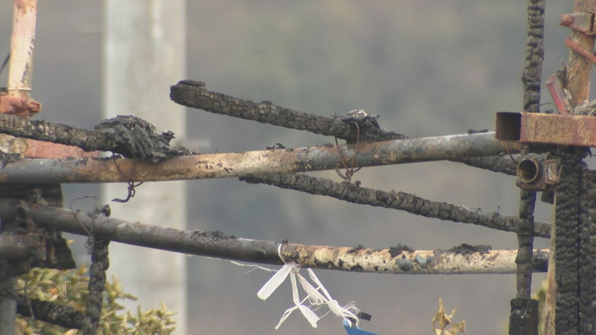 畑の中の倉庫が全焼 1人死亡 性別や年齢は不明 なぜ火が出た？警察・消防が原因調べる 愛知・東海市
