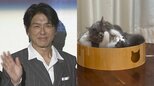 【 ねこ 】高橋克典さんの愛猫ミルリイ＆ラヴィ　秋の夜長に運動会　毛繕いも “ペロペロプロレス” |TBS NEWS DIG