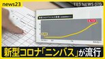 カミソリ飲むような“のどの痛み”…新型コロナ「ニンバス」が流行 猛暑が感染拡大に影響?【news23】|TBS NEWS DIG