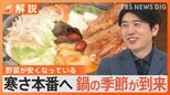 「これだけは外せない!好きなお鍋の具材」3位大根 2位鶏肉 1位白菜 “去年のカセットボンベ使っていいの?”気温と鍋の関係【Nスタ解説】|TBS NEWS DIG