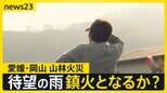 愛媛・岡山の森林火災　5日目にして待望の雨　恵みの雨となるか？　愛媛知事「鎮圧の背中見えてきた」【news23】|TBS NEWS DIG