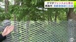 クマはフェンスをよじ登って敷地外に… 高齢者施設で体長70cmほどのクマの目撃情報 「やっぱり怖い」付近住民からは不安の声 近くでは4日にも目撃情報が 青森市|TBS NEWS DIG