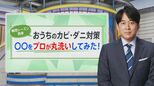 梅雨!家のカビ・ダニに悩む人必見!プロの丸洗いで泣いていた赤ちゃんに驚きの変化も【THE TIME,】 |TBS NEWS DIG