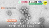 ”発熱・おう吐・下痢” の症状  「感染性胃腸炎」警報発表中　小児クリニックに体調不良の子ども相次ぐ　ノロウイルスの特徴と対策のポイントは？|TBS NEWS DIG