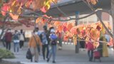 インフルエンザ患者数増加 大分市と西部で警報基準超え | 大分のニュース|OBS NEWS|大分放送