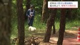 最近はポメラニアンなど小型犬も活躍　宮崎市で警察犬の競技会　|　MRTニュース ｜ ＭＲＴ宮崎放送