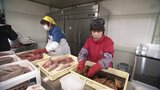 “出張輪島朝市”へ向け干物の加工始まる　今月23日に金沢で開催 約40店舗が出店へ|TBS NEWS DIG