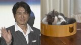 【 ねこ 】高橋克典さんの愛猫ミルリイ＆ラヴィ　秋の夜長に運動会　毛繕いも “ペロペロプロレス” |TBS NEWS DIG