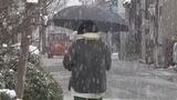 最強寒波襲来で岐阜県で大雪　郡上市では平年の2.4倍の積雪1メートル1センチ　道路は「横滑りで大変」|TBS NEWS DIG