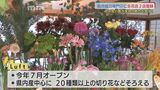 ドイツなどで学んだアレンジメントが評判!生花店が「販売協力専門店」に仲間入り|TBS NEWS DIG