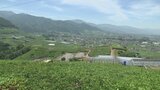 「農家の誇りがさらに高まる」世界農業遺産に認定 山梨県峡東地域の扇状地に適応した果樹栽培 7年越しの悲願達成 |TBS NEWS DIG