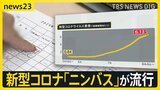 カミソリ飲むような“のどの痛み”…新型コロナ「ニンバス」が流行 猛暑が感染拡大に影響?【news23】|TBS NEWS DIG