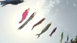 「子どもたちの健やかな成長を願い…」 鯉のぼり舞う | 愛媛のニュース - Nスタえひめ|あいテレビは6チャンネル