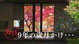 １４０本の「紅葉」と「苔」が織りなす絶景～絵画のような“九年庵”　|　福岡のニュース｜RKB NEWS｜RKB毎日放送