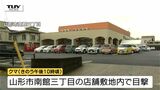 「まさかこんな所に出るとは誰も思わない」山形市内でクマの目撃相次ぐ　店の敷地にも|TBS NEWS DIG