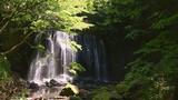 伊達市で今年最高38.9℃ 涼を求めて滝へ 福島 | 福島のニュース│TUF