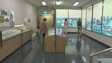 「森林浴」ならぬ「博物館浴」って?館内の見学を通して心身共にリラックス 実証実験の結果は|TBS NEWS DIG