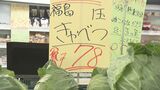 「コメ食わねぇでキャベツ食ってる」レタスは1玉“10円”も…コメ高騰の中、葉物野菜が安い! | 福島のニュース│TUF