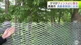 クマはフェンスをよじ登って敷地外に… 高齢者施設で体長70cmほどのクマの目撃情報 「やっぱり怖い」付近住民からは不安の声 近くでは4日にも目撃情報が 青森市|TBS NEWS DIG